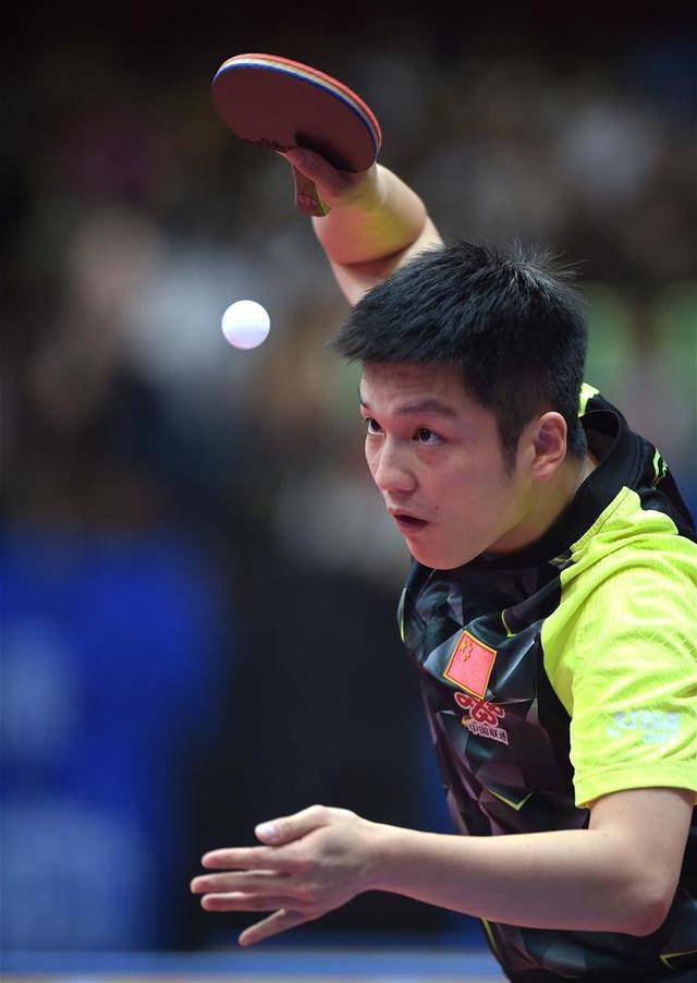 祝贺樊振东!连赢2场德甲告别低迷,此前爆冷输排名302位选手